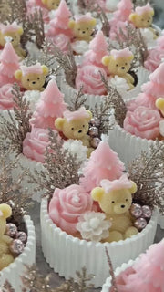 Christmas Edition Sweet Garden