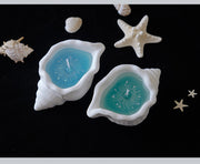 Sea Shell Candle